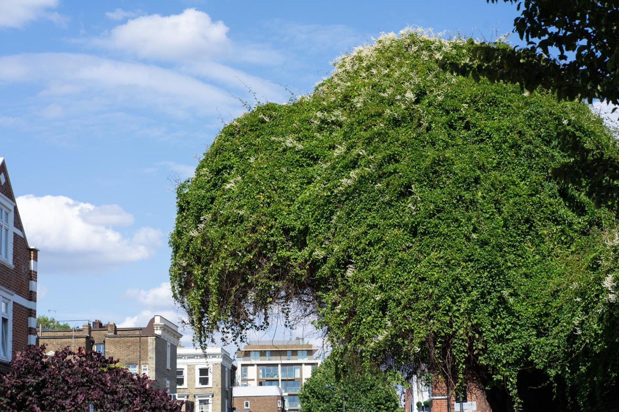 Apartment Boutique By Luxestays Fulham Broadway